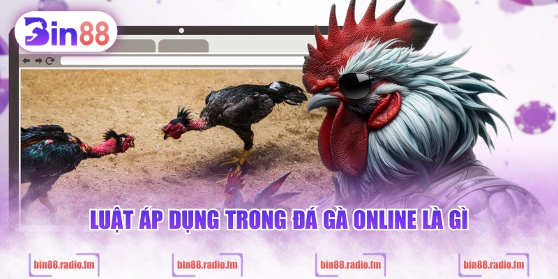 Luật áp dụng trong đá gà online là gì