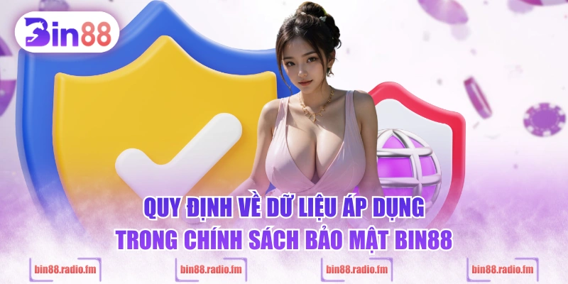 Quy định về dữ liệu áp dụng trong chính sách bảo mật BIN88