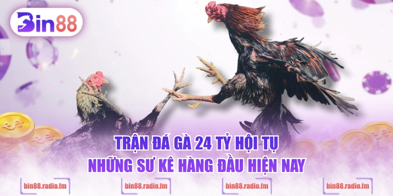 Trận đá gà 24 tỷ hội tụ những sư kê hàng đầu hiện nay